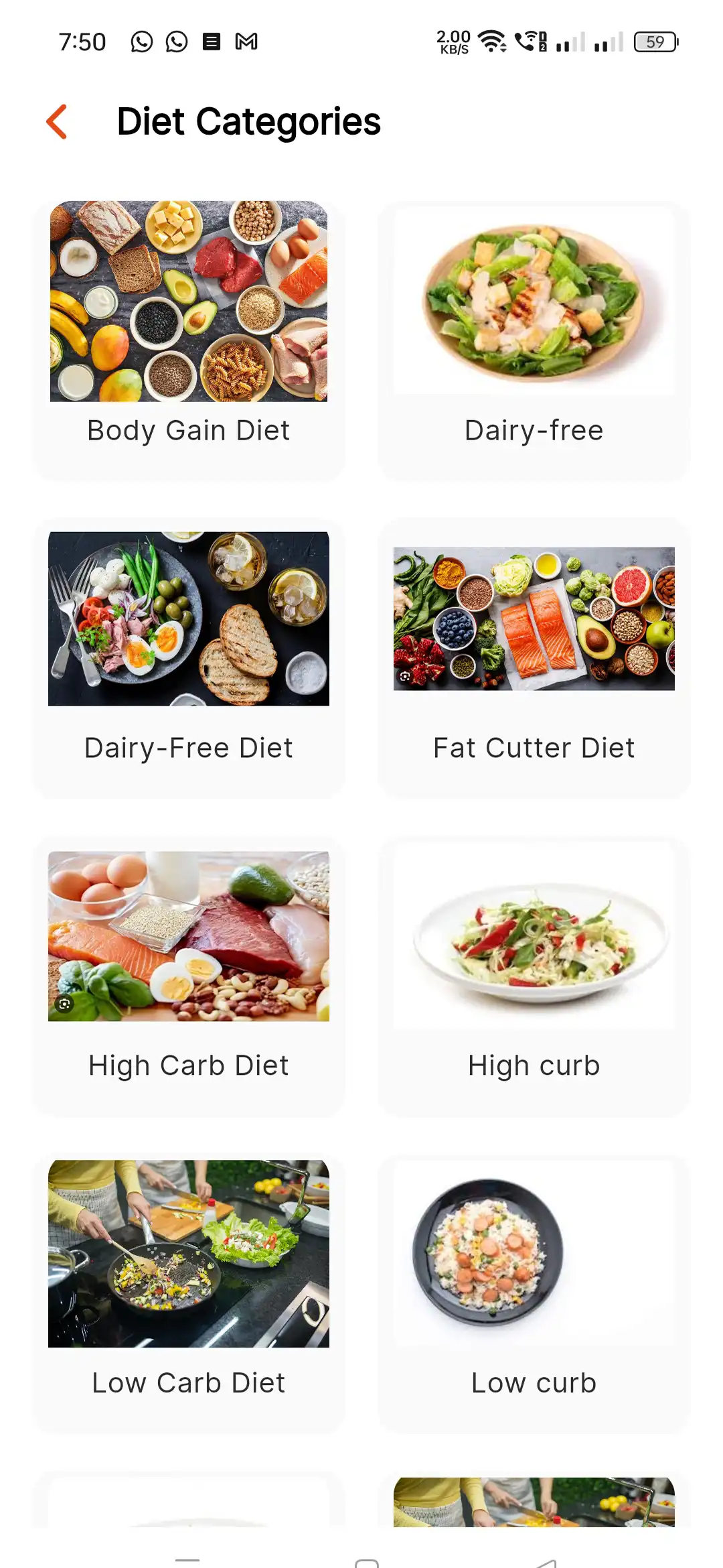 Fitness app — user — Diet Categories